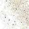 12 Pack: John Bead Crystal & Metallic Silver Czech Glass Seed Beads, 8/0